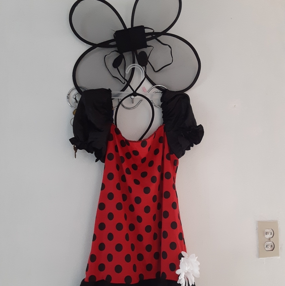 Ladybug Halloween Costume